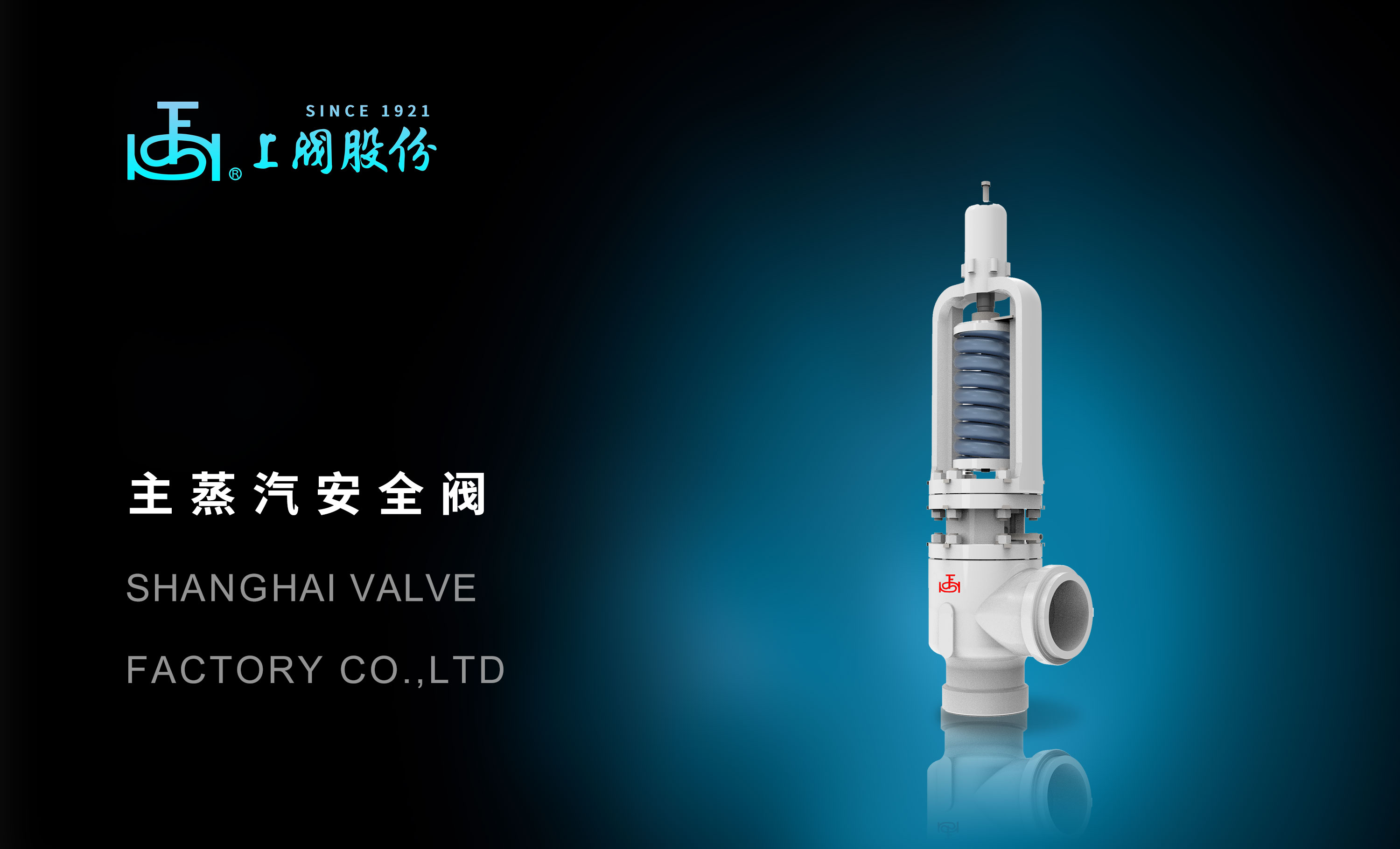 主蒸汽安全閥(1).jpg